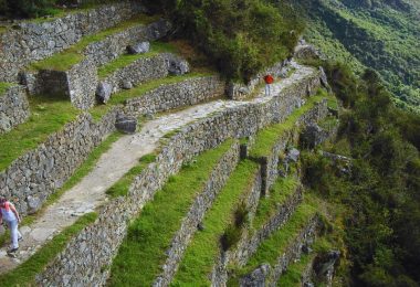 Explorando la Diversidad Natural del Camino Inca