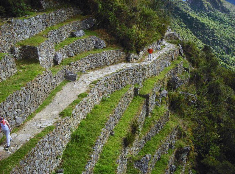 Explorando la Diversidad Natural del Camino Inca