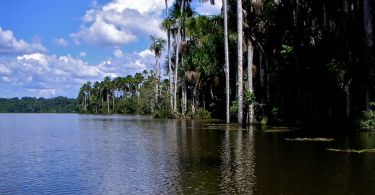 Tambopata National Reserve: A Natural Paradise in the Heart of the Amazon