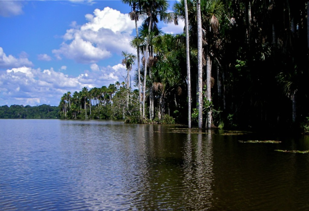 Tambopata National Reserve: A Natural Paradise in the Heart of the Amazon