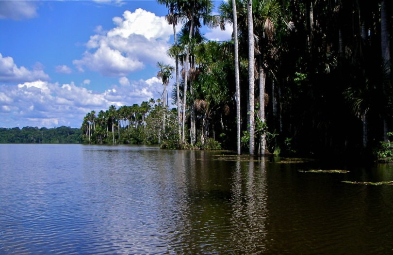 Tambopata National Reserve: A Natural Paradise in the Heart of the Amazon